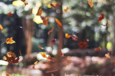 “Sometimes you will never know the value of a moment until it becomes a memory. –Dr. Seuss